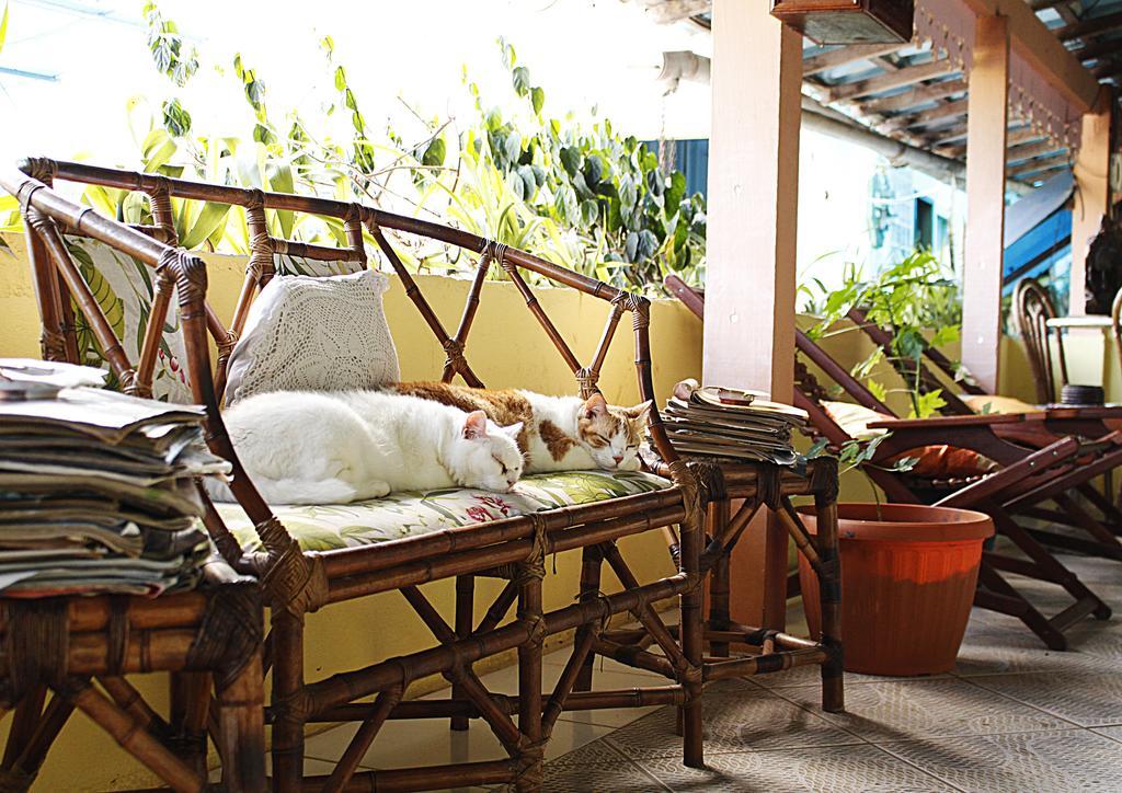 Pousada Solsticio De Verao Trindade  Ngoại thất bức ảnh